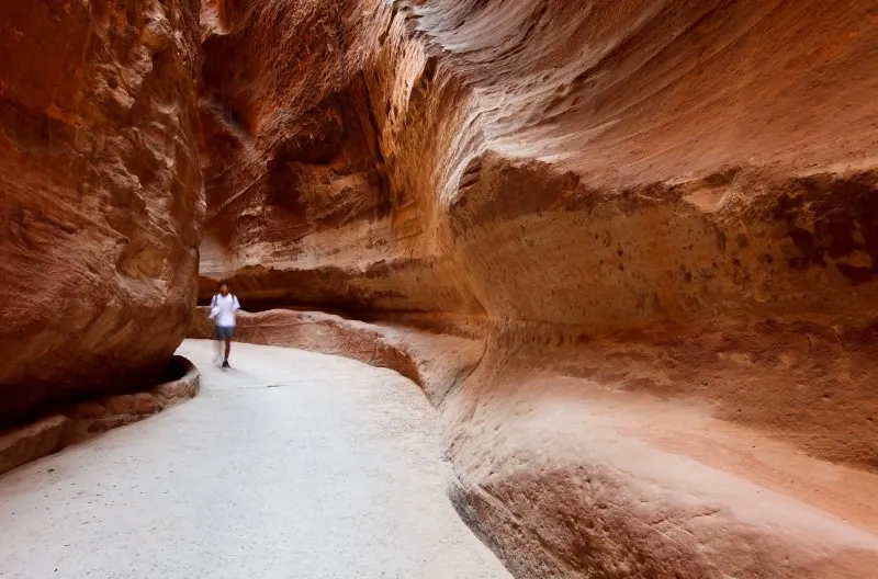 The Siq of Petra The Siq of Petra
